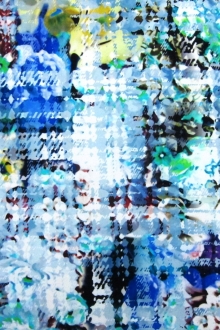 Printed Silk Charmeuse0