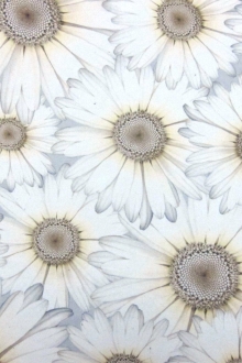 Printed Silk Chiffon0