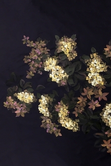 Iridescent Purple and Black Silk Taffeta Panel with Handpainted Flowers0