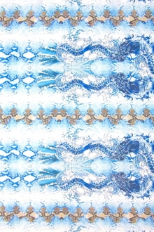 Printed Silk Chiffon0