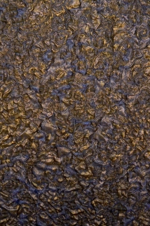 Iridescent Metallic Silk Blend Organza Cloqué0