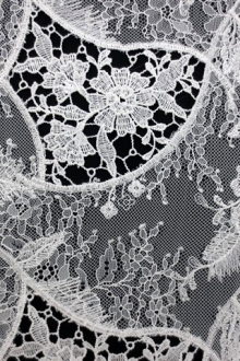 Embroidered Chantilly Lace0
