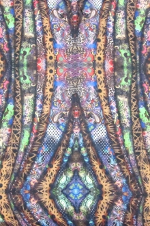 Printed Silk Chiffon0