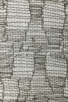 Novelty Beaded Point d'Esprit0