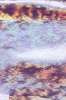 Stretch Hologram Lamé0