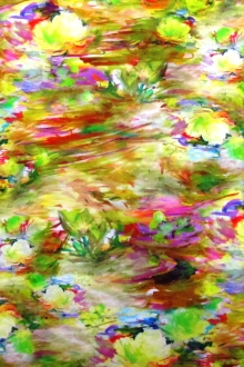 Printed Silk Charmeuse0