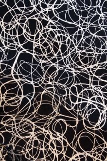 Printed Silk Charmeuse1