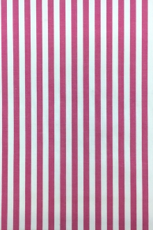 Pima Cotton Shirting Stripe in Fuchsia0