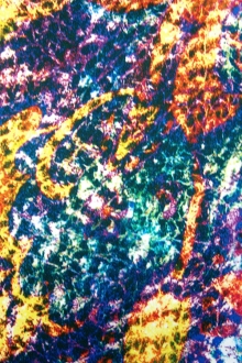 Printed Silk Charmeuse0