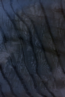 Novelty Ruffled Silk Organza in Midnight Navy0