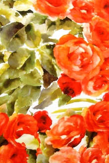 Printed Silk Charmeuse0