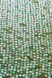 Sequins on Silk Chiffon0