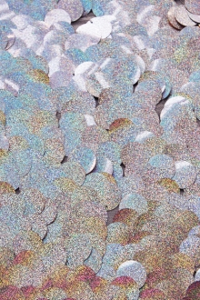 Paillettes on Silk Chiffon0
