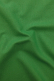 Kona Cotton in Fern0