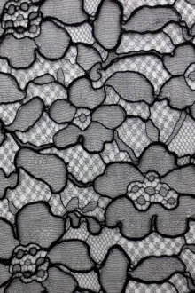 Corded Chantilly Lace0