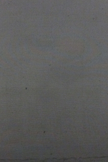 SALE PIECE Metallic Organza0