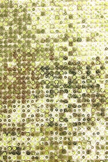 Layered Sequins on Novelty Mesh0
