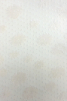 Dotted Floral White Burnout Velvet0