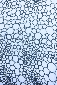 Printed Silk Chiffon0