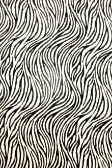 Printed Silk Charmeuse0