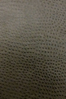 Ostrich Faux Leather in Graphite0