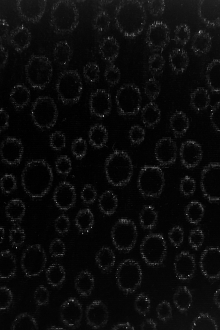 Silk Lurex Panne Velvet with Circles in Black0