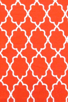 Cotton Broadcloth Print0