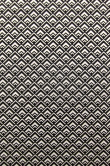 Cotton Broadcloth Print0