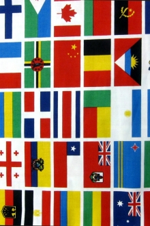 Cotton Broadcloth Print 0