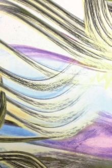 Printed Silk Chiffon0