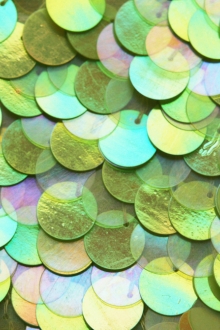 Paillettes on Silk Chiffon0