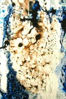 Printed Silk Blend Mikado0