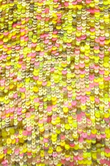 Sequins on Silk Chiffon0