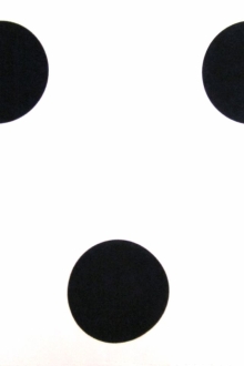 Printed Silk Charmeuse0