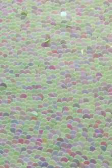 Paillettes on Silk Chiffon0