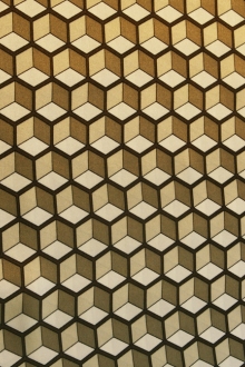 Printed Silk Charmeuse1