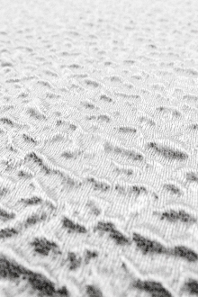 Silk Blend Organza Cloqué0