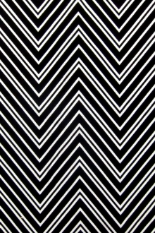 Cotton Broadcloth Print0