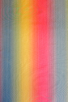 Silk Warp Printed Taffeta0