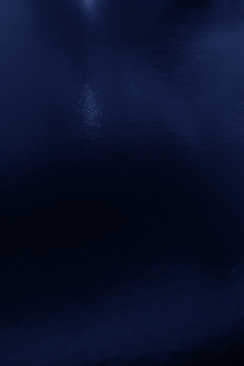 Wetlook Vinyl in Navy0