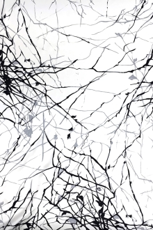 Printed Silk Charmeuse with Abstract Line Patterns0