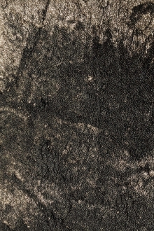 Faux Fur with Small Metallic Dots0