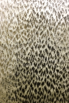 Silk Lurex Panne Velvet With Animal Print in Champagne0