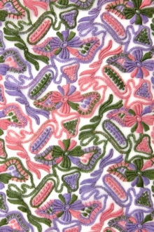 Novelty Embroidered Organza0