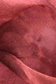 Metallic Silk Organza (B)0