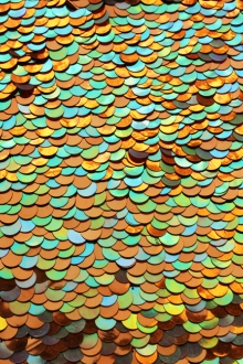 Pailettes on Silk Chiffon0