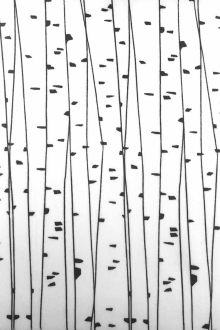 Poly Crepe de Chine Print0