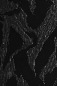 Novelty Cloqué in a Large Abstract Pattern0