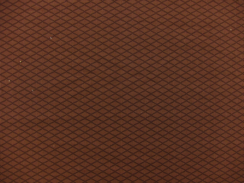 Cotton Broadcloth Print0