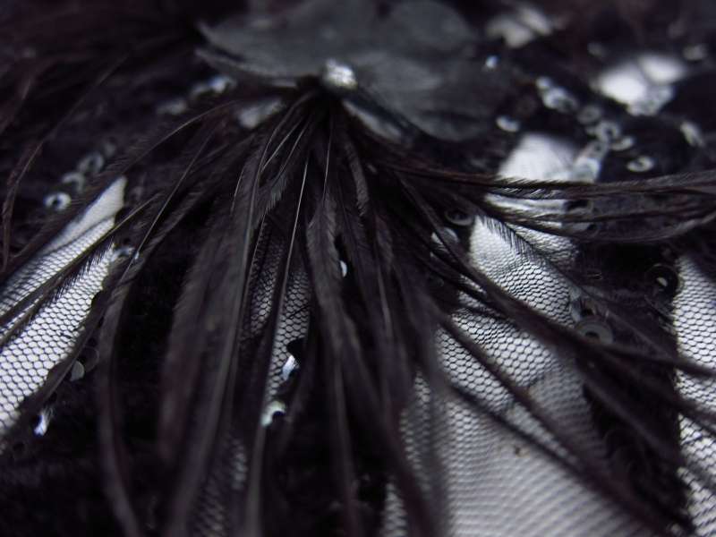 Novelty Velvet Appliquéd Illusion with Feathers2